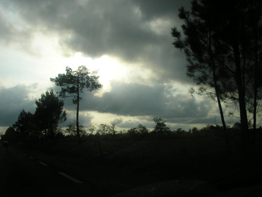 P5060023